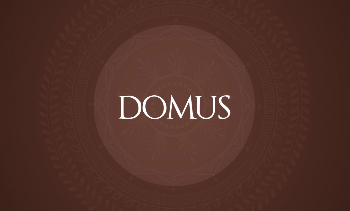 _Domus_STUDIOPONZELLI_DES